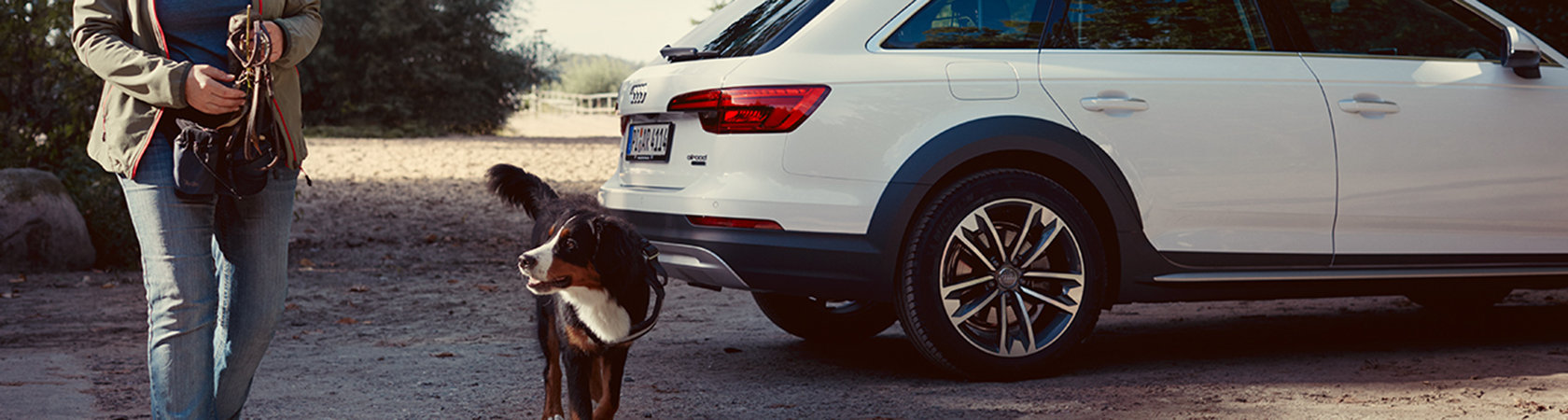 Audi og hund.png